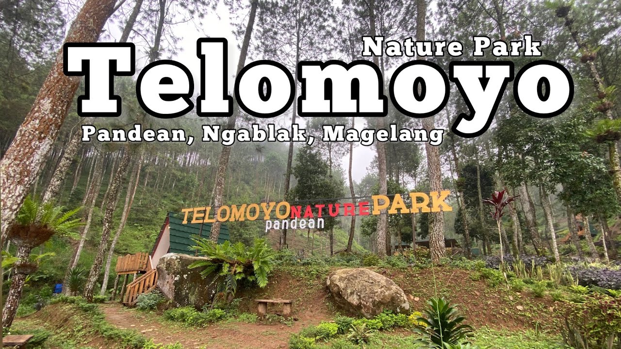 Telomoyo Nature Park: Pesona Alam Menakjubkan di Lereng Merapi